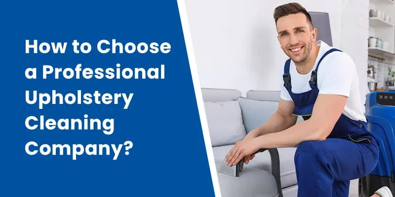 Professional-Upholstery-Cleaning-Company