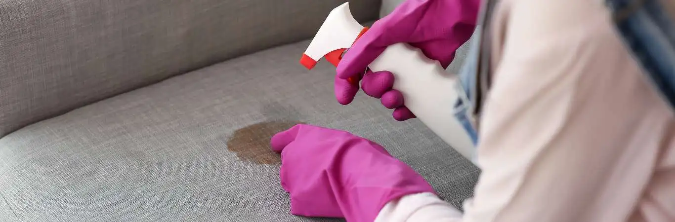 Professional Sofa Stain Protection Leonards Hill